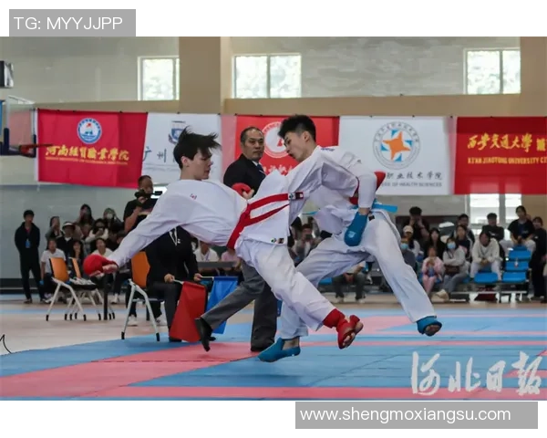 北京街舞队在世界滑板锦标赛中的默契配合与精彩表现分析